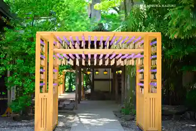 川越氷川神社(埼玉県)