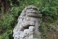 阿久津「田村神社」(郡山市阿久津町)旧社名:伊豆箱根三嶋三社の狛犬