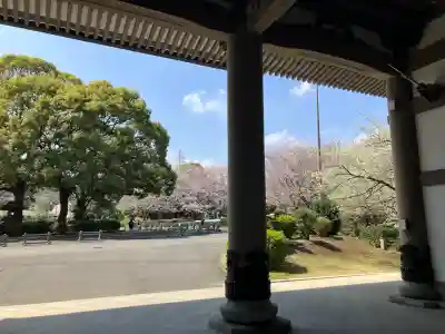 総持寺の{uncategorized: "未分類", other: "その他", undefined: "問題あり", building: "その他建物", grave: "お墓", sacred_gate: "鳥居", guardian: "狛犬", statue: "像", buddha: "仏像", history: "歴史", nature: "自然", garden: "庭園", animal: "動物", pagoda: "塔", temizu: "手水舎", mountain_gate: "山門・神門", sanctuary: "本殿・本堂", subordinate: "末社・摂社", art: "芸術", scenery: "景色", jizo: "地蔵", ema: "絵馬", goshuin: "御朱印", omikuji: "おみくじ", items: "授与品その他", amulet: "お守り", goshuincho: "御朱印帳", eats: "食事", festival: "お祭り", votive_dance: "神楽", shichigosan: "七五三参", wedding: "結婚式", experience: "体験その他", initially: "初詣", around: "周辺", anti_infection: "感染症対策"}
