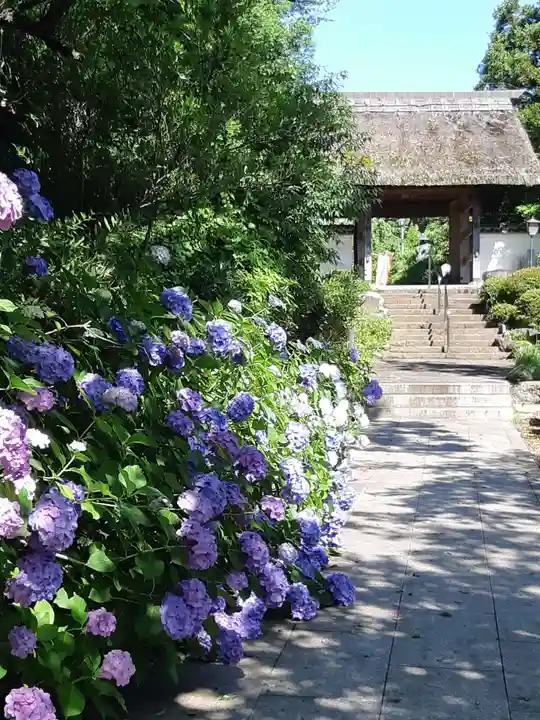 大聖寺(土浦大師不動尊)(茨城県)