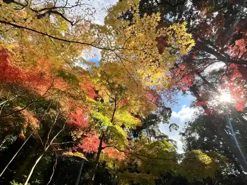 真珠院(神峯山寺塔頭)(大阪府)
