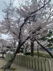 百舌鳥八幡宮(大阪府)