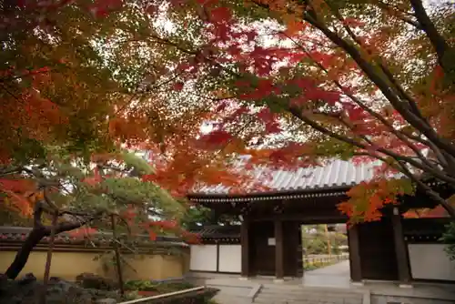 観泉寺の山門