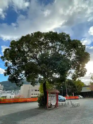 豊山八幡神社の自然