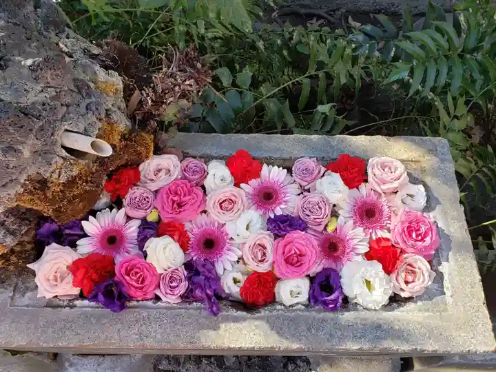 本郷氷川神社(東京都)