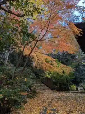 赤坂氷川神社(東京都)