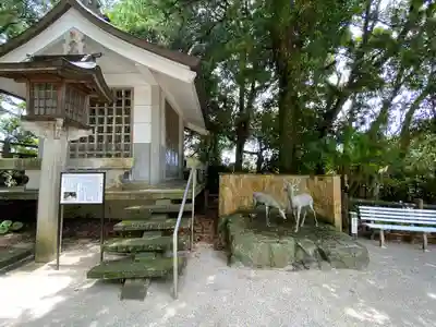 志賀海神社(福岡県)