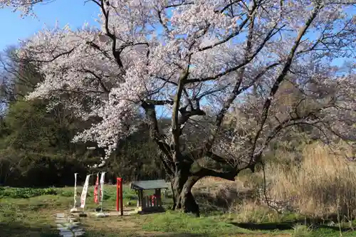 宇賀神さまの本殿