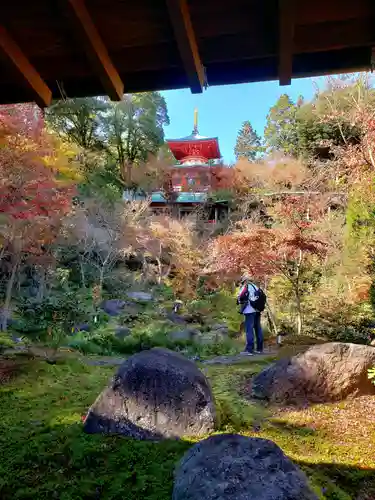 高野寺の庭園