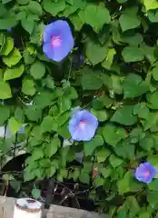 神明社（国府宮神明社）の自然