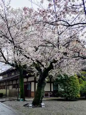 靖國神社(東京都)