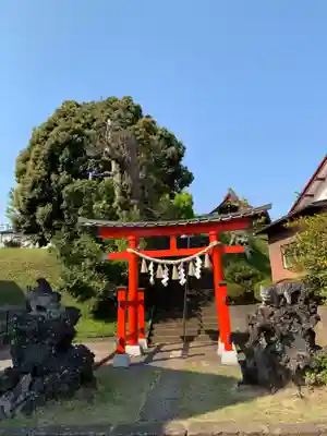 椎名神社の鳥居