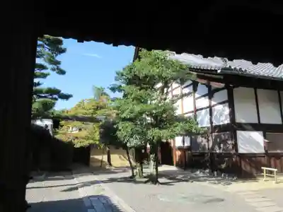 大徳寺の本殿・本堂