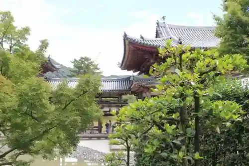 平等院の建物その他