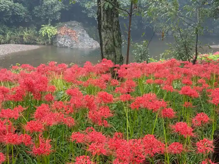 高麗神社(埼玉県)