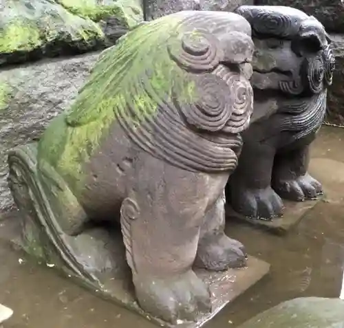 麻布氷川神社の狛犬