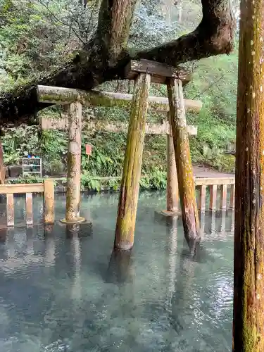 鹿島神宮の{uncategorized: "未分類", other: "その他", undefined: "問題あり", building: "その他建物", grave: "お墓", sacred_gate: "鳥居", guardian: "狛犬", statue: "像", buddha: "仏像", history: "歴史", nature: "自然", garden: "庭園", animal: "動物", pagoda: "塔", temizu: "手水舎", mountain_gate: "山門・神門", sanctuary: "本殿・本堂", subordinate: "末社・摂社", art: "芸術", scenery: "景色", jizo: "地蔵", ema: "絵馬", goshuin: "御朱印", omikuji: "おみくじ", items: "授与品その他", amulet: "お守り", goshuincho: "御朱印帳", eats: "食事", festival: "お祭り", votive_dance: "神楽", shichigosan: "七五三参", wedding: "結婚式", experience: "体験その他", initially: "初詣", around: "周辺", anti_infection: "感染症対策"}