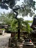 桐生天満宮(群馬県)