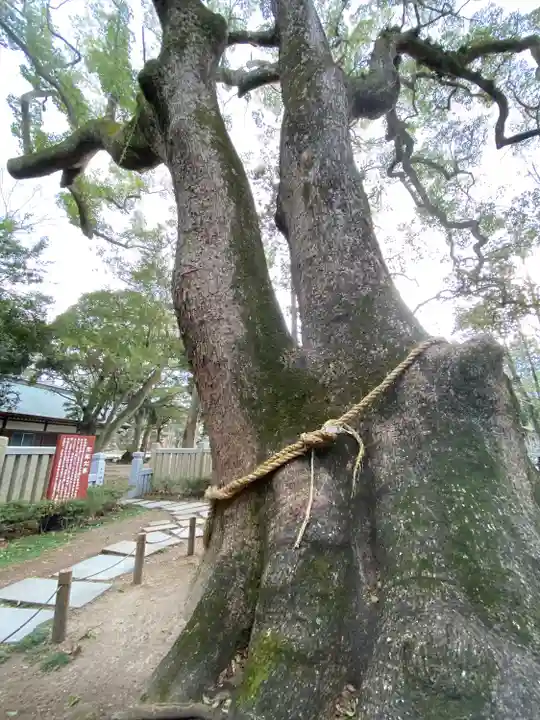 伊弉諾神宮(兵庫県)