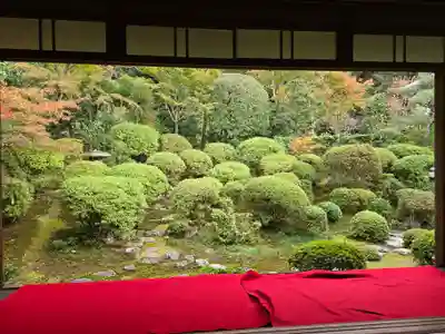 安楽寺(京都府)