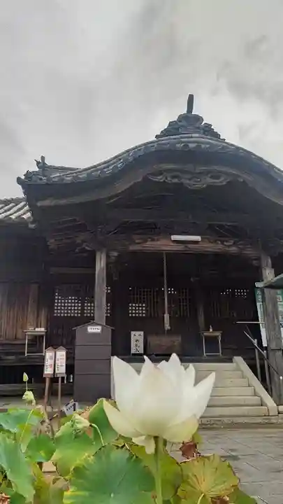 餘慶寺の本殿・本堂