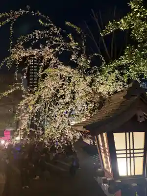 子安神社の{uncategorized: "未分類", other: "その他", undefined: "問題あり", building: "その他建物", grave: "お墓", sacred_gate: "鳥居", guardian: "狛犬", statue: "像", buddha: "仏像", history: "歴史", nature: "自然", garden: "庭園", animal: "動物", pagoda: "塔", temizu: "手水舎", mountain_gate: "山門・神門", sanctuary: "本殿・本堂", subordinate: "末社・摂社", art: "芸術", scenery: "景色", jizo: "地蔵", ema: "絵馬", goshuin: "御朱印", omikuji: "おみくじ", items: "授与品その他", amulet: "お守り", goshuincho: "御朱印帳", eats: "食事", festival: "お祭り", votive_dance: "神楽", shichigosan: "七五三参", wedding: "結婚式", experience: "体験その他", initially: "初詣", around: "周辺", anti_infection: "感染症対策"}