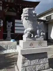 上千葉香取神社の狛犬