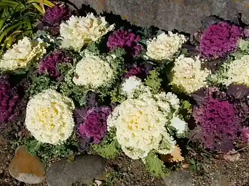 慈眼院（清光寺）の自然