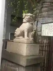 大圓寺の狛犬