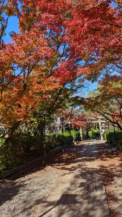 長岡天満宮の自然