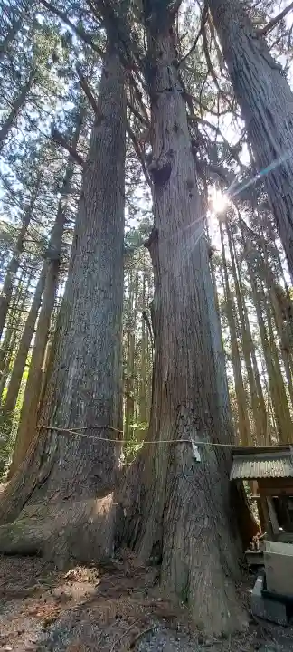 竹駒神社の{uncategorized: "未分類", other: "その他", undefined: "問題あり", building: "その他建物", grave: "お墓", sacred_gate: "鳥居", guardian: "狛犬", statue: "像", buddha: "仏像", history: "歴史", nature: "自然", garden: "庭園", animal: "動物", pagoda: "塔", temizu: "手水舎", mountain_gate: "山門・神門", sanctuary: "本殿・本堂", subordinate: "末社・摂社", art: "芸術", scenery: "景色", jizo: "地蔵", ema: "絵馬", goshuin: "御朱印", omikuji: "おみくじ", items: "授与品その他", amulet: "お守り", goshuincho: "御朱印帳", eats: "食事", festival: "お祭り", votive_dance: "神楽", shichigosan: "七五三参", wedding: "結婚式", experience: "体験その他", initially: "初詣", around: "周辺", anti_infection: "感染症対策"}