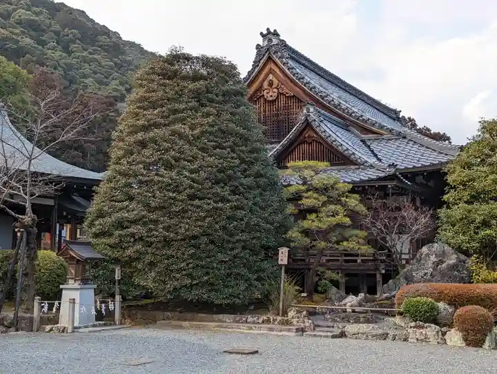 松尾大社(京都府)