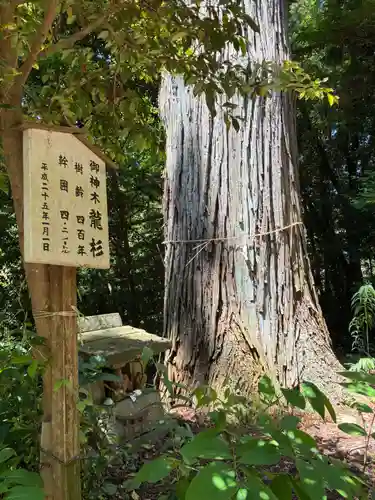 八龍神社(茨城県)