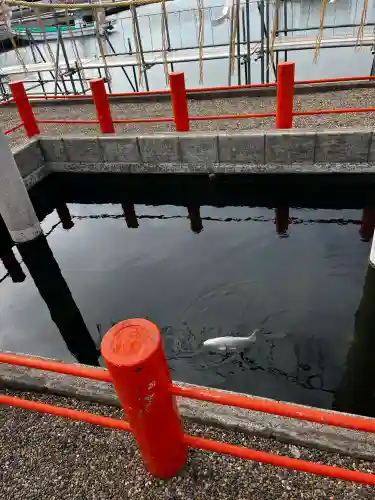 息栖神社の{uncategorized: "未分類", other: "その他", undefined: "問題あり", building: "その他建物", grave: "お墓", sacred_gate: "鳥居", guardian: "狛犬", statue: "像", buddha: "仏像", history: "歴史", nature: "自然", garden: "庭園", animal: "動物", pagoda: "塔", temizu: "手水舎", mountain_gate: "山門・神門", sanctuary: "本殿・本堂", subordinate: "末社・摂社", art: "芸術", scenery: "景色", jizo: "地蔵", ema: "絵馬", goshuin: "御朱印", omikuji: "おみくじ", items: "授与品その他", amulet: "お守り", goshuincho: "御朱印帳", eats: "食事", festival: "お祭り", votive_dance: "神楽", shichigosan: "七五三参", wedding: "結婚式", experience: "体験その他", initially: "初詣", around: "周辺", anti_infection: "感染症対策"}