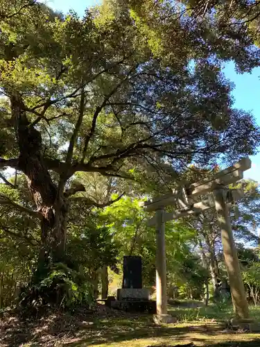 天津日神社の鳥居