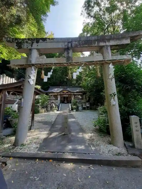 金山媛神社の{uncategorized: "未分類", other: "その他", undefined: "問題あり", building: "その他建物", grave: "お墓", sacred_gate: "鳥居", guardian: "狛犬", statue: "像", buddha: "仏像", history: "歴史", nature: "自然", garden: "庭園", animal: "動物", pagoda: "塔", temizu: "手水舎", mountain_gate: "山門・神門", sanctuary: "本殿・本堂", subordinate: "末社・摂社", art: "芸術", scenery: "景色", jizo: "地蔵", ema: "絵馬", goshuin: "御朱印", omikuji: "おみくじ", items: "授与品その他", amulet: "お守り", goshuincho: "御朱印帳", eats: "食事", festival: "お祭り", votive_dance: "神楽", shichigosan: "七五三参", wedding: "結婚式", experience: "体験その他", initially: "初詣", around: "周辺", anti_infection: "感染症対策"}