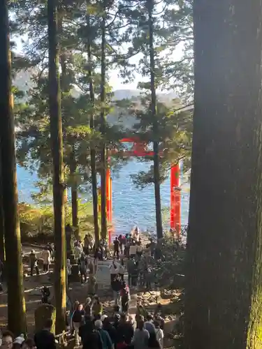 箱根神社(神奈川県)