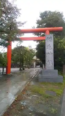 稲毛神社の鳥居