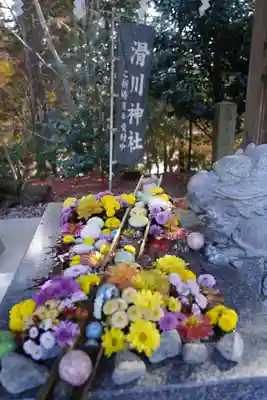 滑川神社 - 仕事と子どもの守り神の手水舎