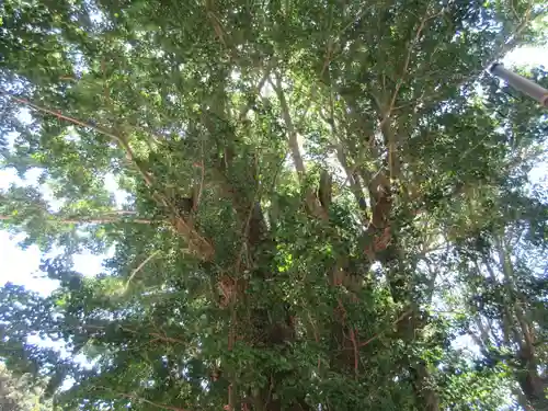 海南神社(神奈川県)
