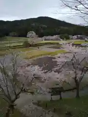 朝倉神社の自然