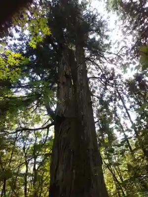花園神社(茨城県)