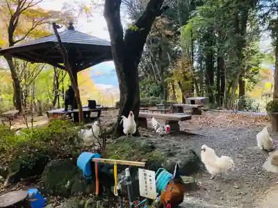 公時神社(神奈川県)