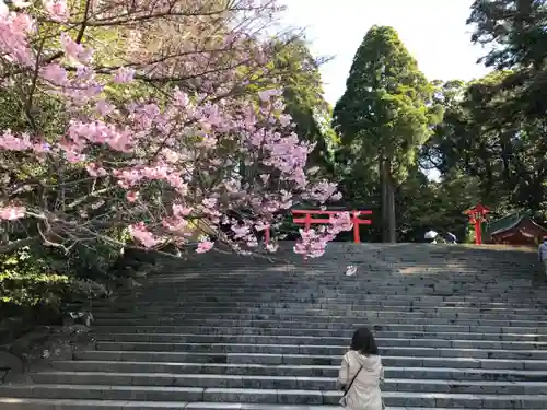 霧島神宮(鹿児島県)