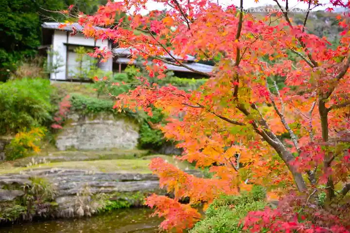 円覚寺(神奈川県)