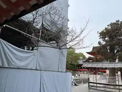 石清水八幡宮(京都府)