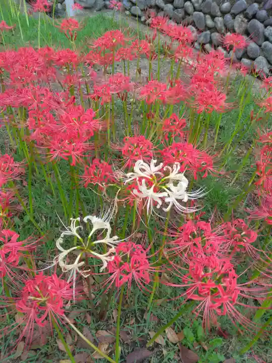 横浜 西方寺(神奈川県)