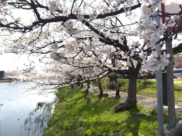 榊神社(新潟県)