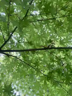 城南宮(京都府)