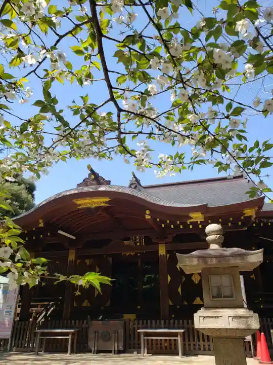 渋谷氷川神社(東京都)